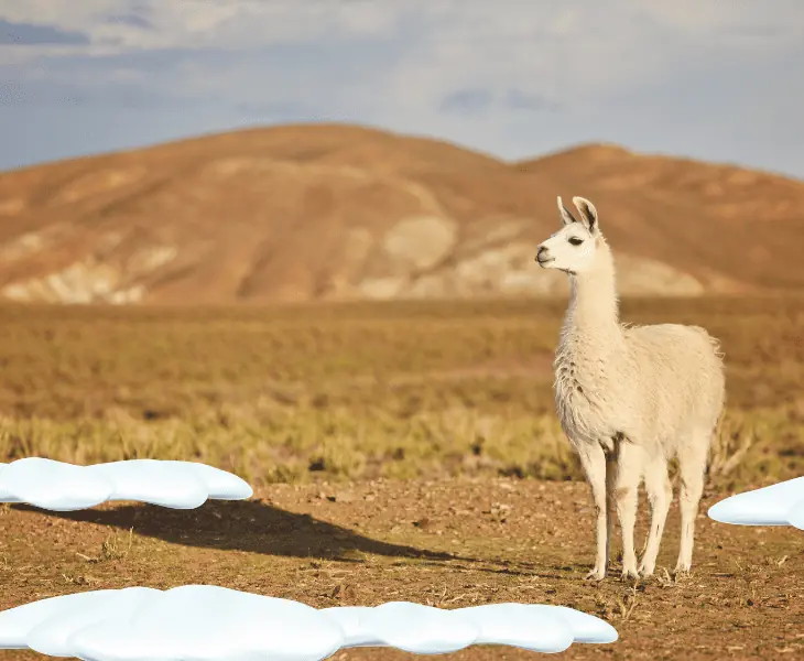 snow in icy desert areas