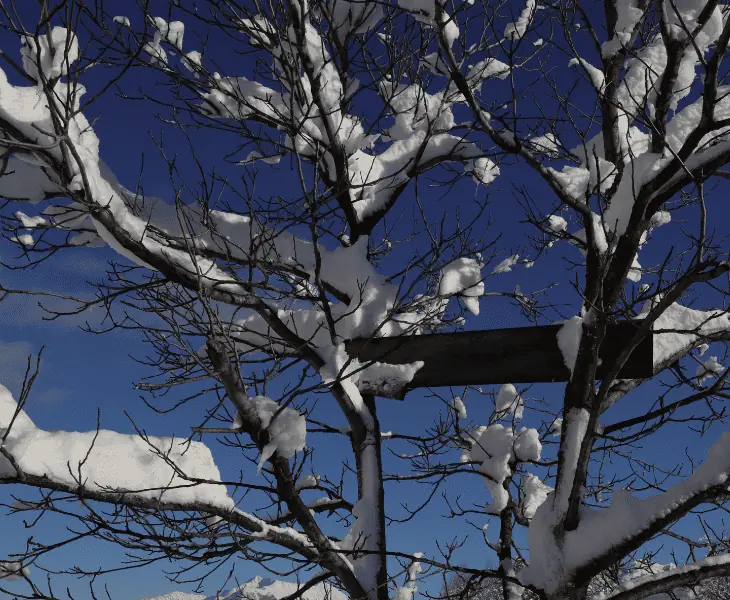 ozarks snow shadow effect
