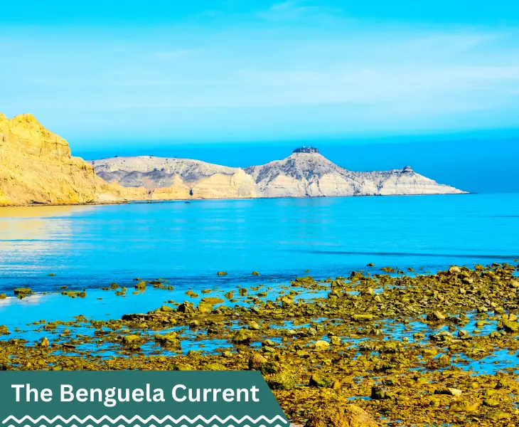 benguela current in cape town