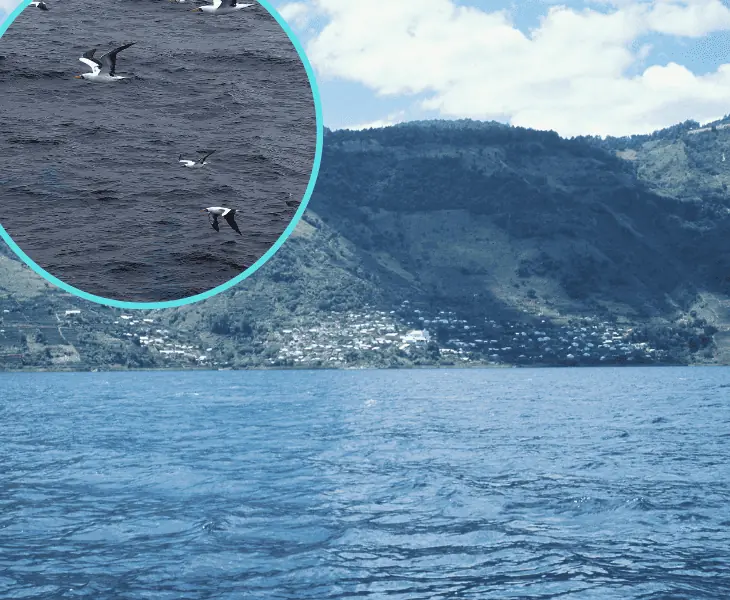 role of the oceans