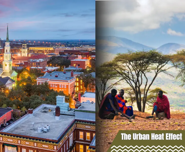 the urban heat effect in savannah