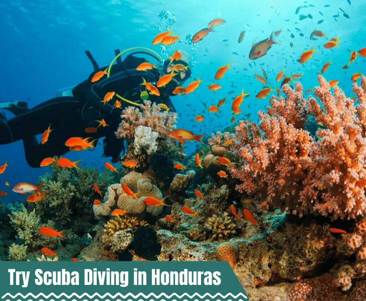 what to do in honduras