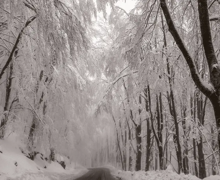 what to explore in tuscany during winter