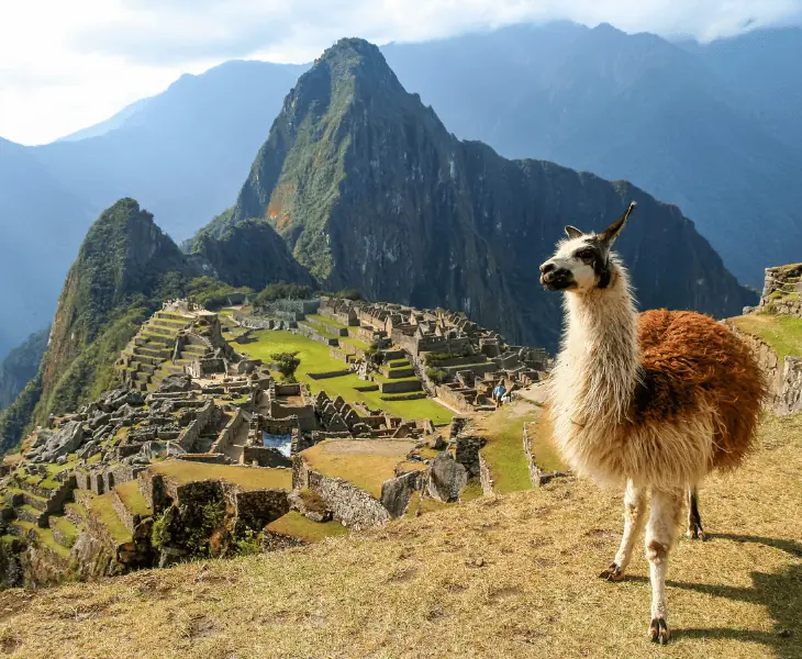 tropical climate of machu picchu