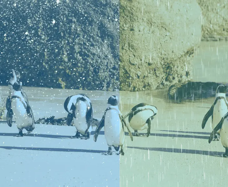 cape town climate variations