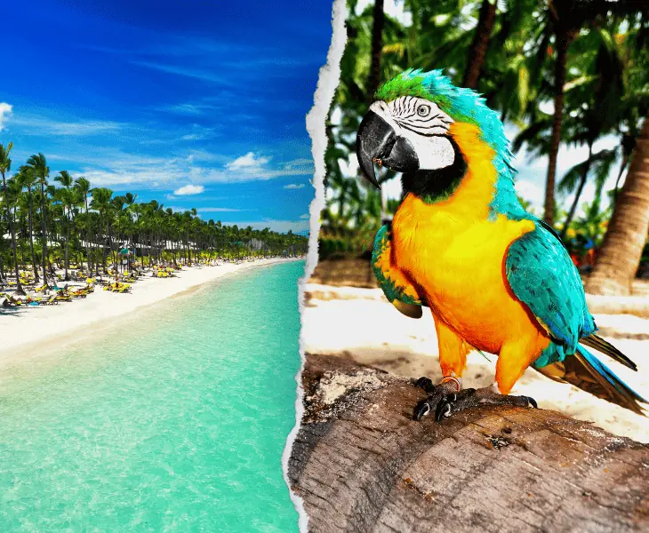 best time to visit the dominican republic