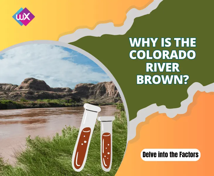 why is the colorado river brown