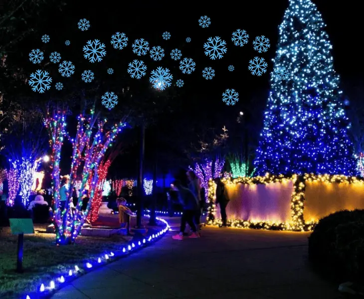 winter vacation in abilene texas
