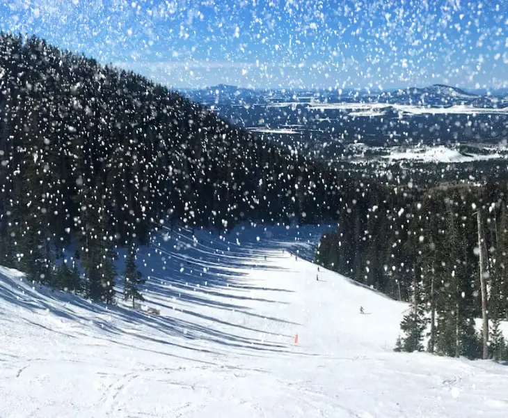 williams az doing ski