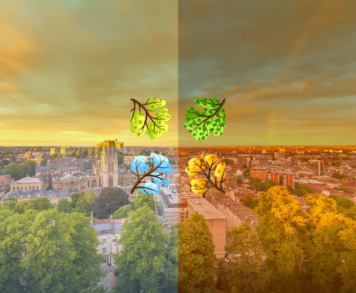 bristol climate