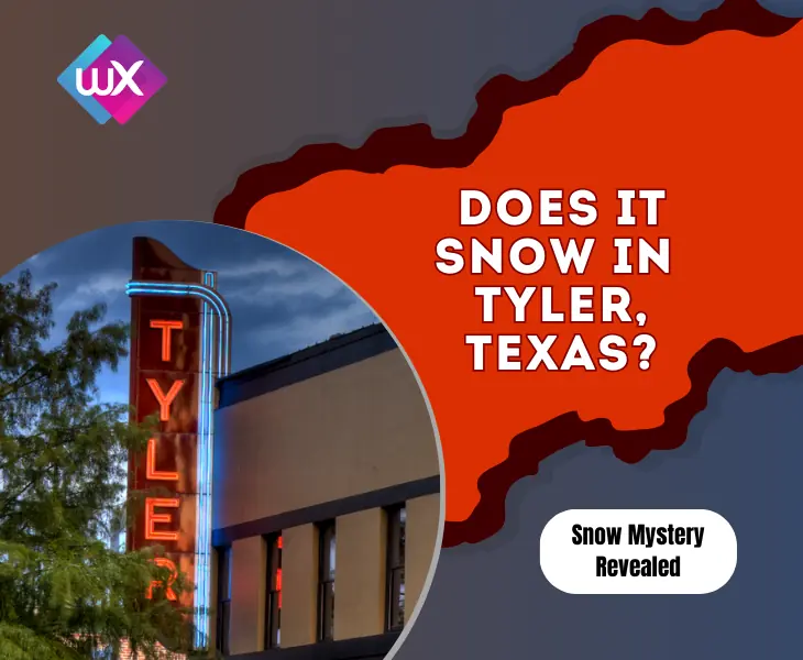 does it snow in tyler texas