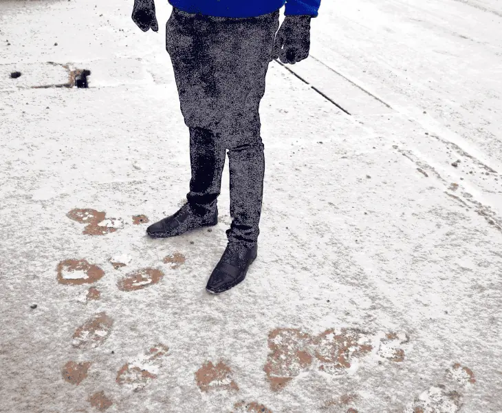 medford snow activities 