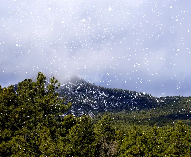 williams az where to snow