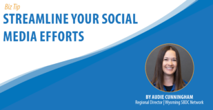 Graphic with the title of the biz tip reading "Streamline your social media efforts" and a photo of the author, Audie Cunningham.