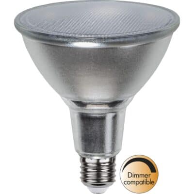 LED-lamp E27 PAR38 Spot met glazen kap