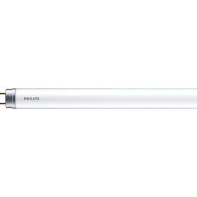 Philips - LED T8 600mm 8W G13 CW 1CT/4