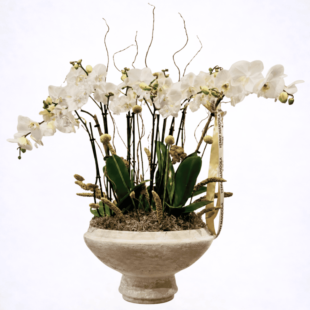 orchids in ceramic pot