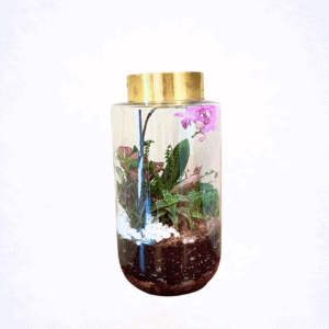 Luxury terrarium arrangement in glass vessel