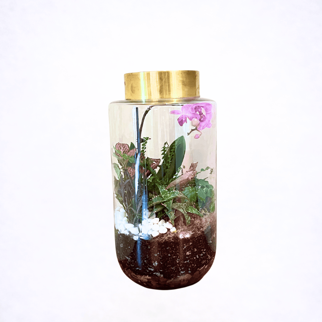 Luxury terrarium arrangement in glass vessel