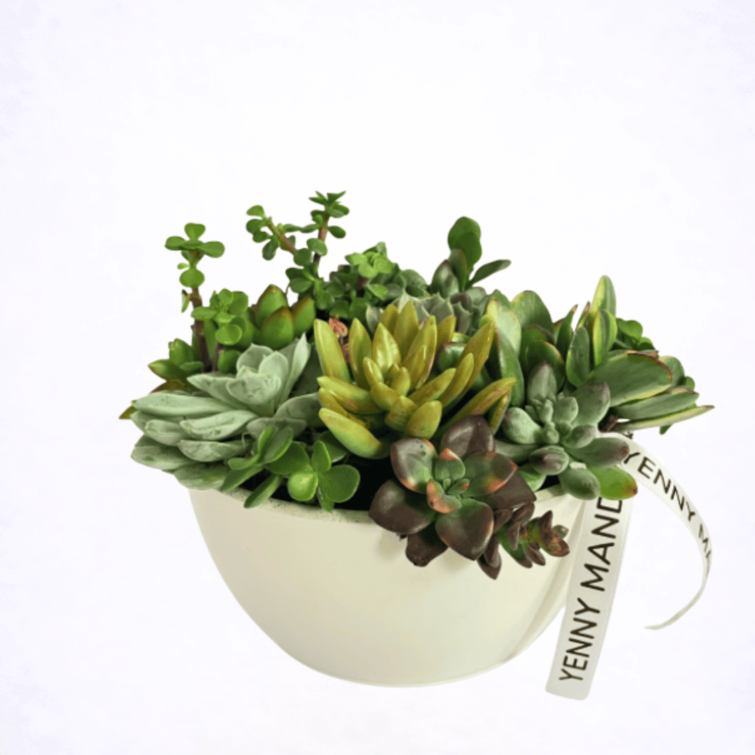 Luxury succulent arrangement in modern ceramic planter by Yenny Mandola Florals