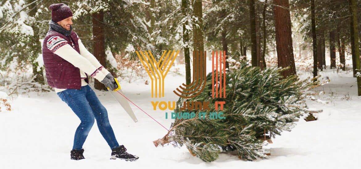 St. Louis tree removal service, winter snow cleanup, Christmas tree disposal, eco-friendly yard waste, junk removal with You Junk It.