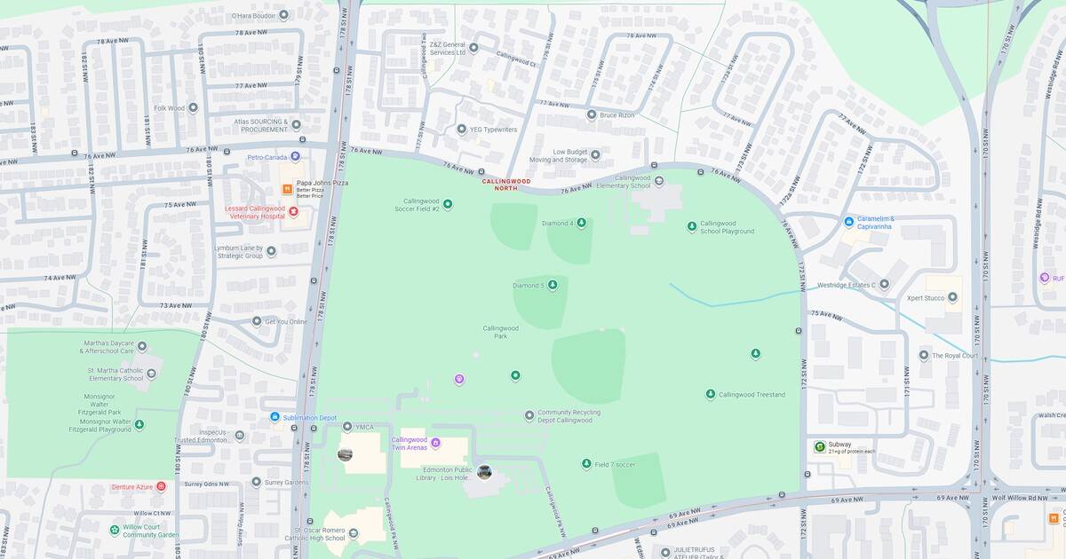 An illustrated map of a city park showing pathways, green spaces, playgrounds, and amenities for visitors.