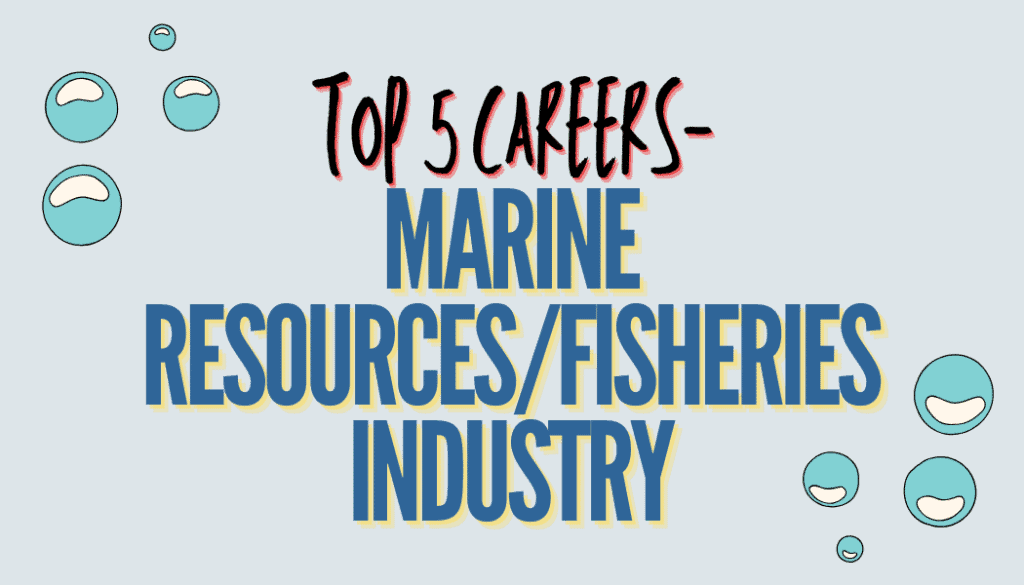 Sustainable marine resources fishing industry infographic.