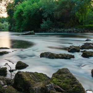 Weekly Guided Meditation