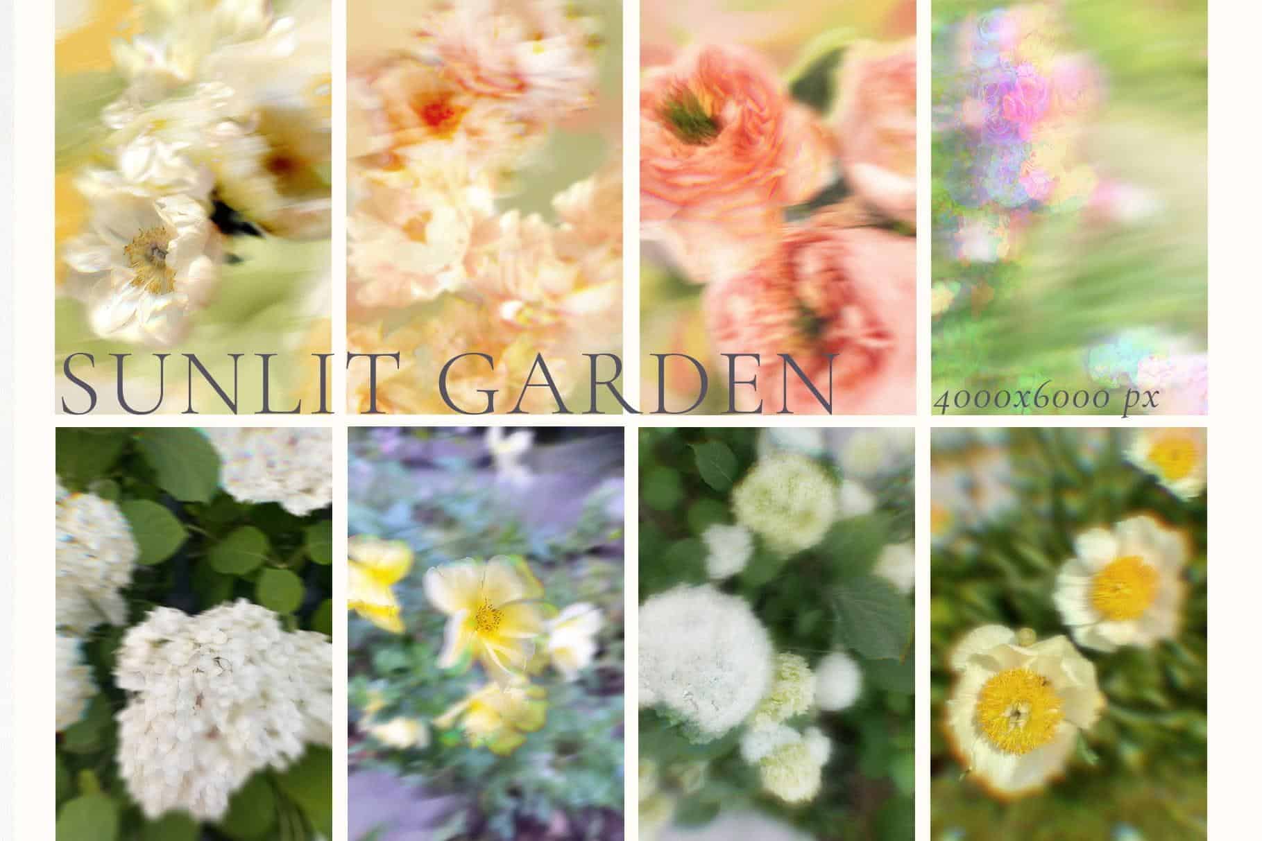 Sunlit Garden – Blurry & Glitch Abstract Flower Backgrounds - Image 5