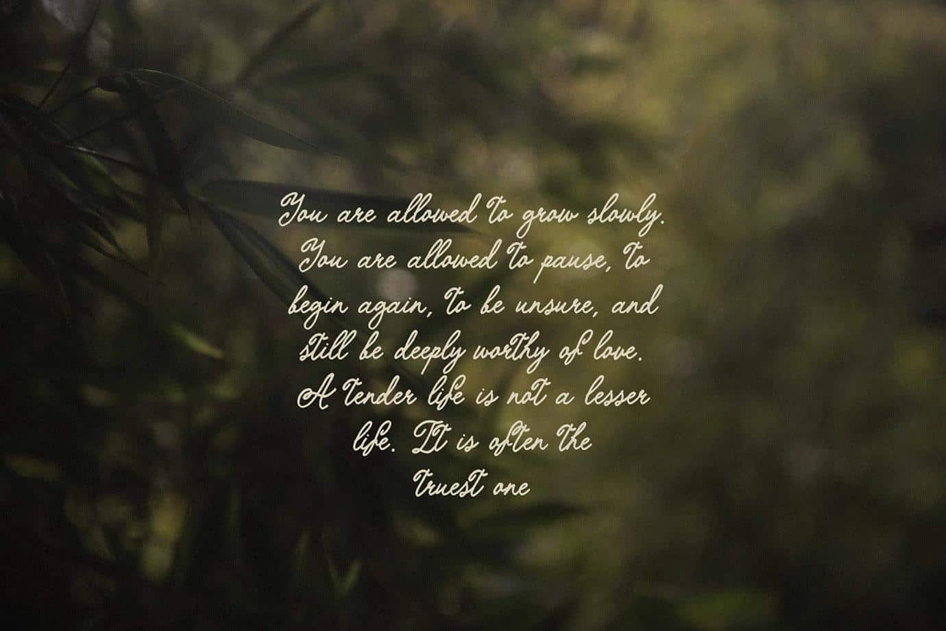 The Softed Touch — Elegant Vintage Script Font for Modern Design - Image 5