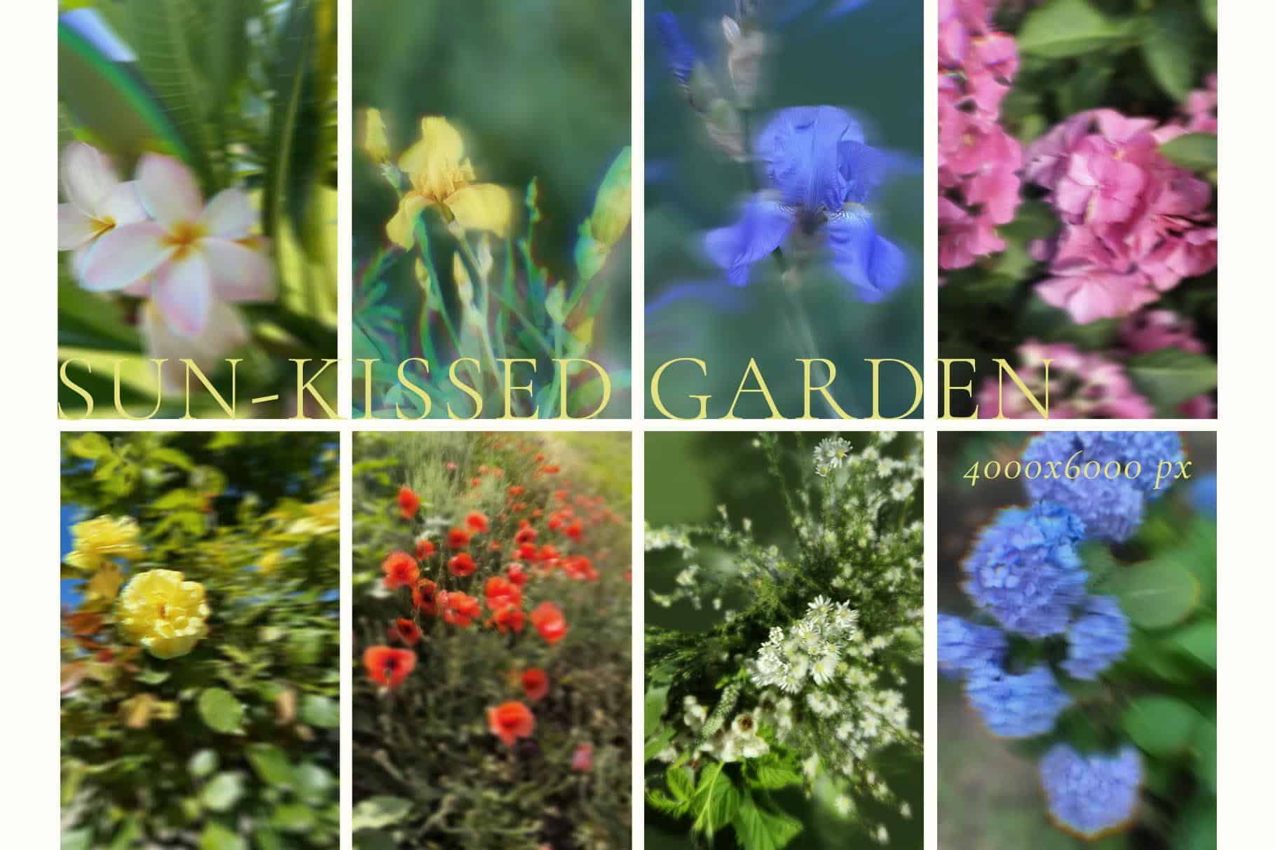Sun-Kissed Garden – Blurry Abstract Floral Backgrounds - Image 7