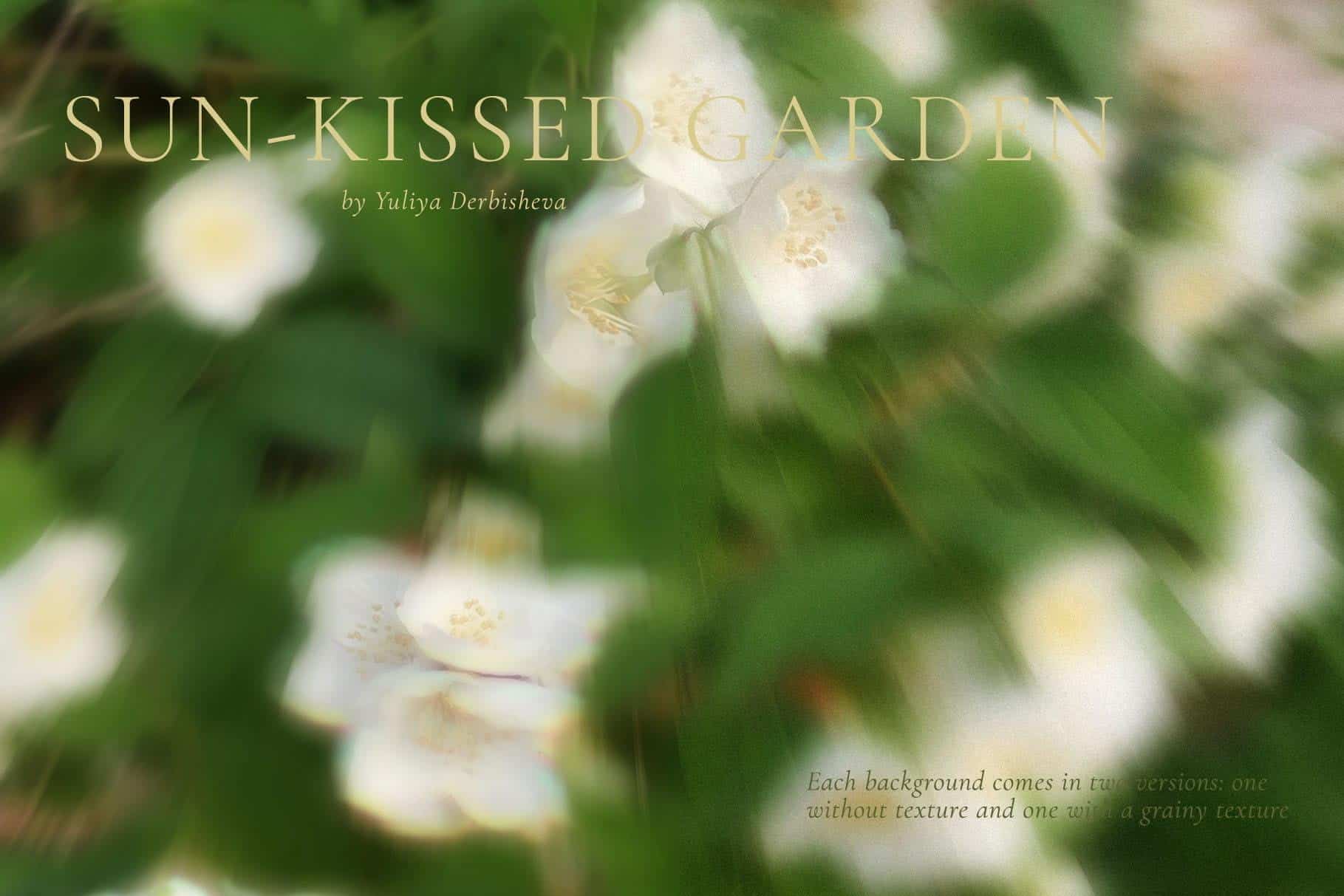 Sun-Kissed Garden – Blurry Abstract Floral Backgrounds - Image 8