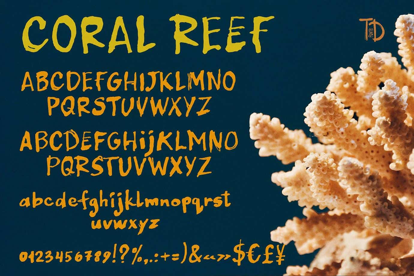 Coral reef Ink Handwriting font with organic ocean texture - Image 8