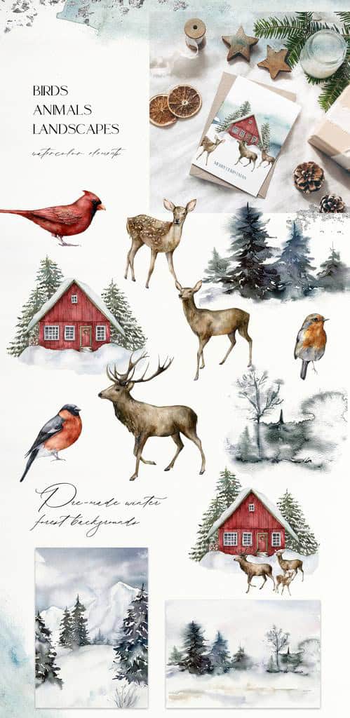 Christmas spirit watercolor floral & animals illustrations for festive design and decor - Image 10