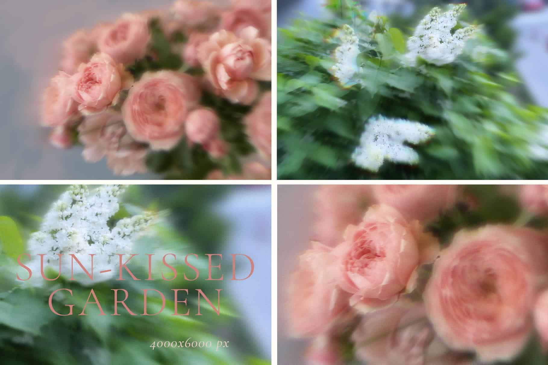 Sun-Kissed Garden – Blurry Abstract Floral Backgrounds - Image 10