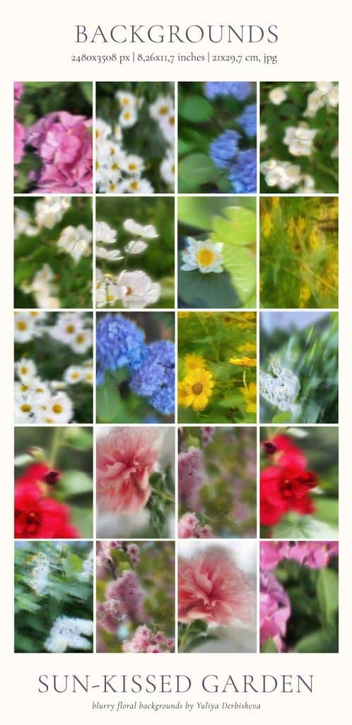 Sun-Kissed Garden – Blurry Abstract Floral Backgrounds - Image 13