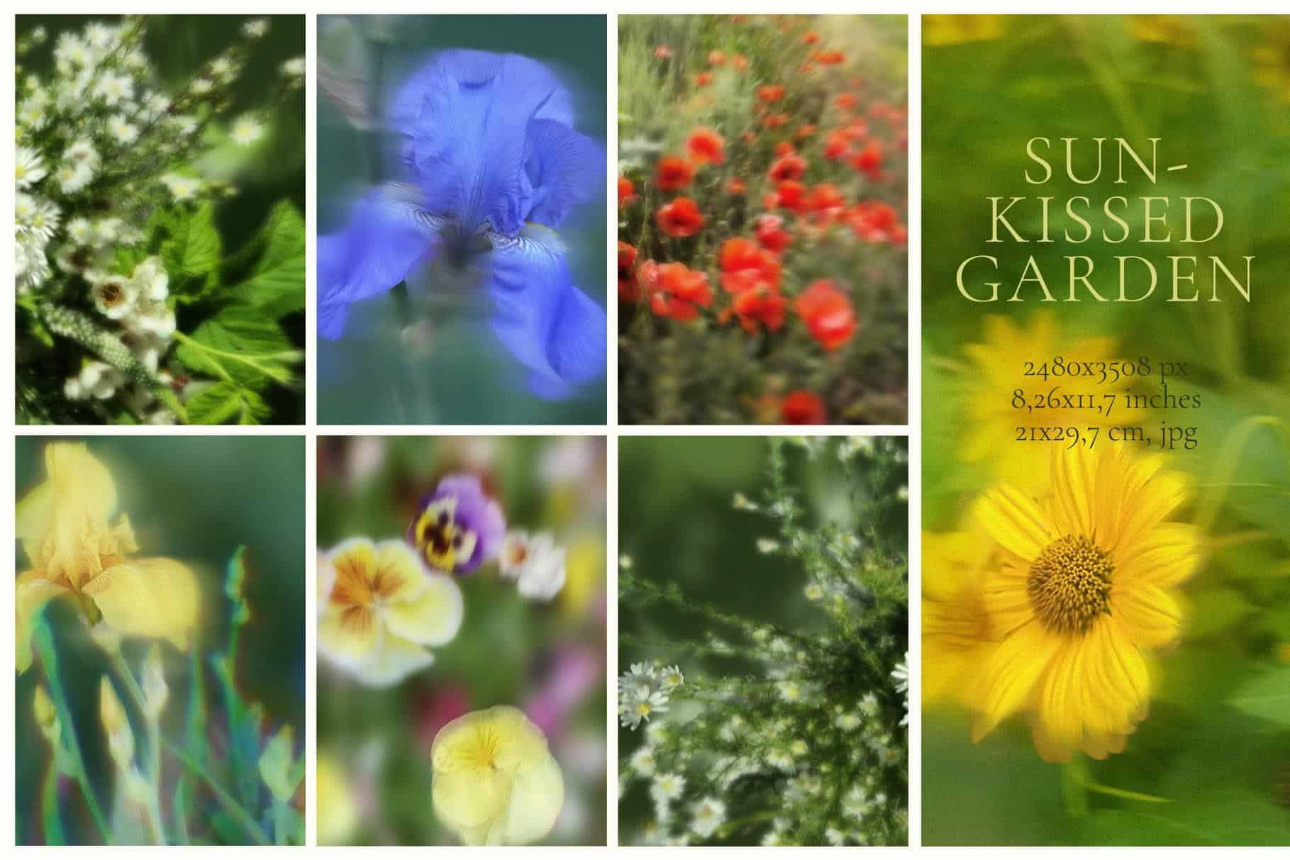 Sun-Kissed Garden – Blurry Abstract Floral Backgrounds - Image 14