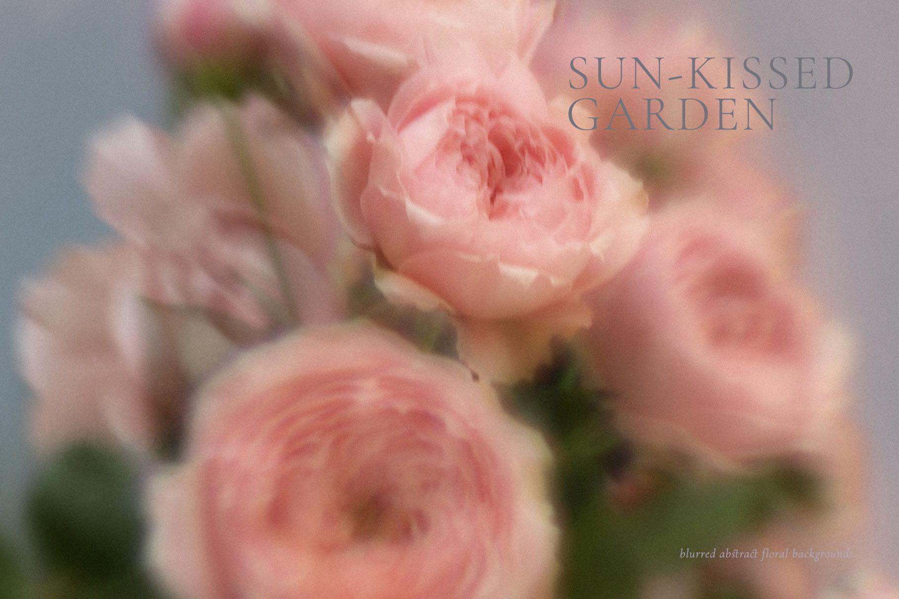 Sun-Kissed Garden – Blurry Abstract Floral Backgrounds - Image 15