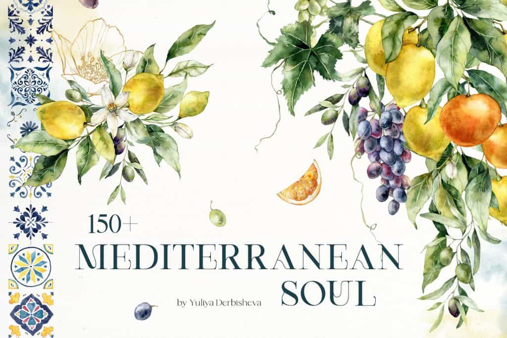 Watercolor citrus and grape illustrations for Mediterranean soul theme.