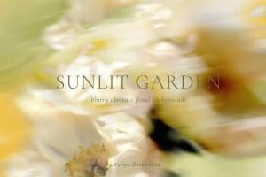 Blurry abstract floral background with soft yellow, white, and green tones.