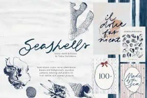 Seashells and marine life illustrations for ocean-themed projects by Yuliya Derbisheva.