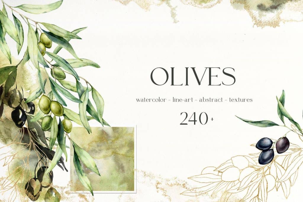 Watercolor illustration of olive branches with green and black olives.