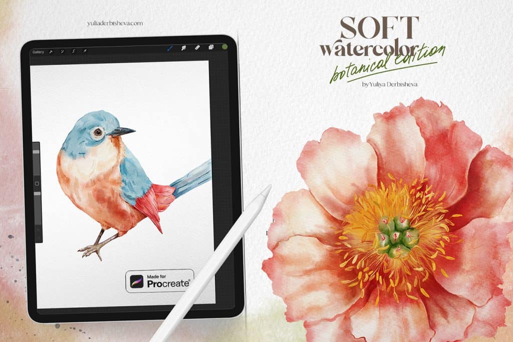 Watercolor bird peony in digital with Soft watercolor Procreate brushes