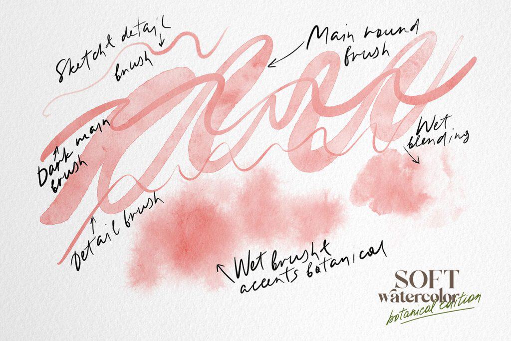 Soft watercolor procreate brushes for realistic digital drawing