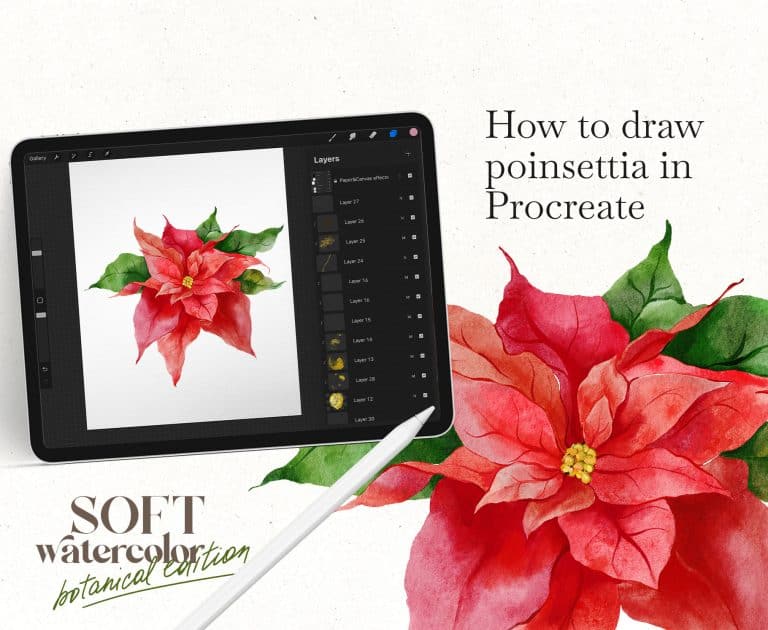 How to draw watercolor poinsettia Christmas flower in Procreate