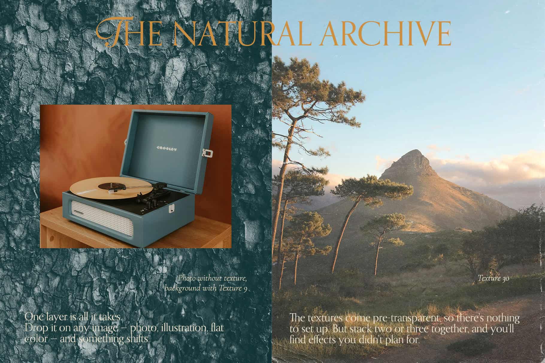 The Natural Archive - Wood, Stone & Paper Texture White Overlays PNG - Image 3
