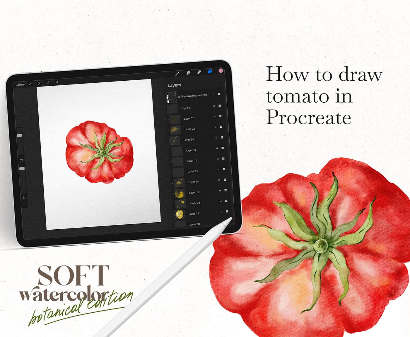 How to draw juicy watercolor tomato in Procreate