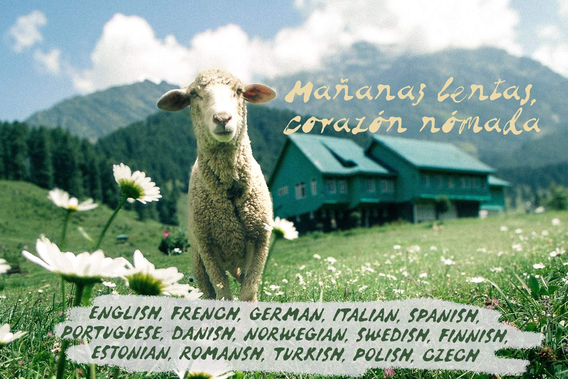 Reckless Bleed script font with a Spanish quote over a sheep in an alpine meadow, showing multilingual language support