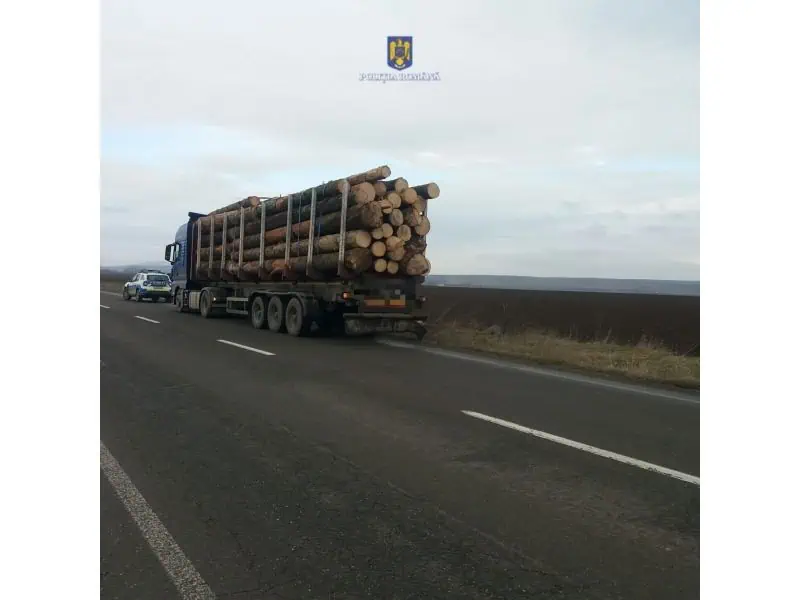 Lemn confiscat în valoare de 145.000 lei și amenzi de 86.000 lei în prima lună a anului
