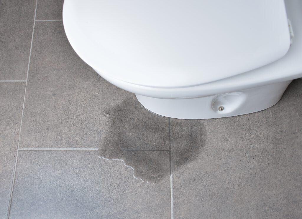 A Leaking Toilet In Australia Is Commonly Caused By These 5 Main Problems